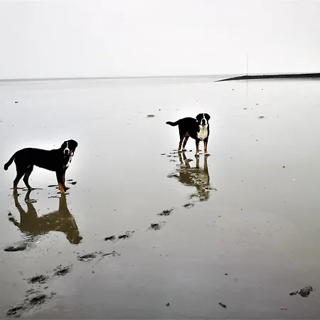 Nordsee Urlaubsparadies アパート