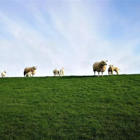 Διαμέρισμα Nordsee Urlaubsparadies