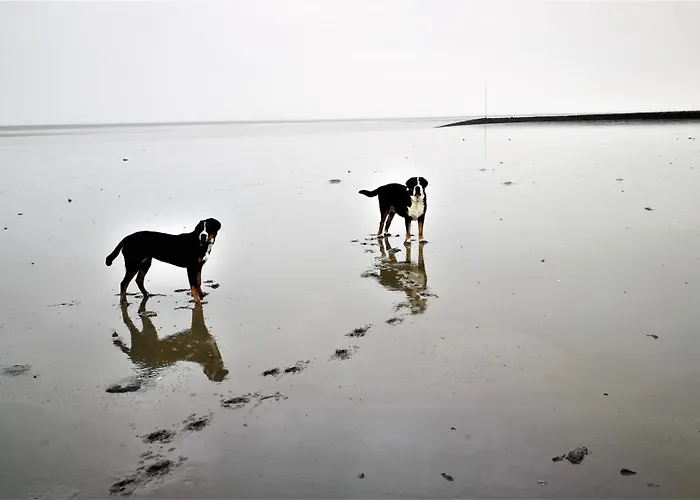 Nordsee Urlaubsparadies Appartement